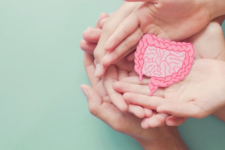Interactions between estrogen and gut microbiota
