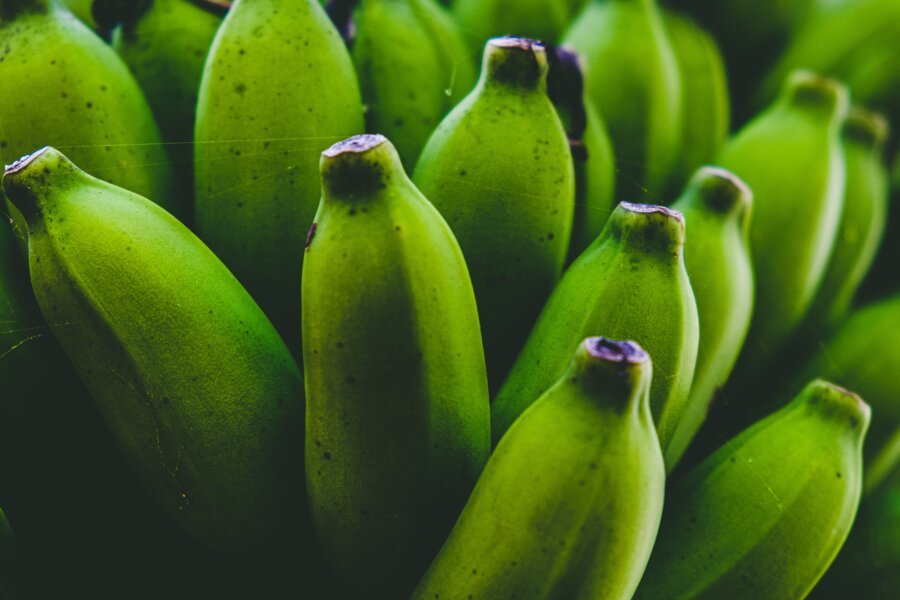 The Benefits of Resistant Starch for Women’s Hormones and Vegan Green Banana Flour Chocolate Cake