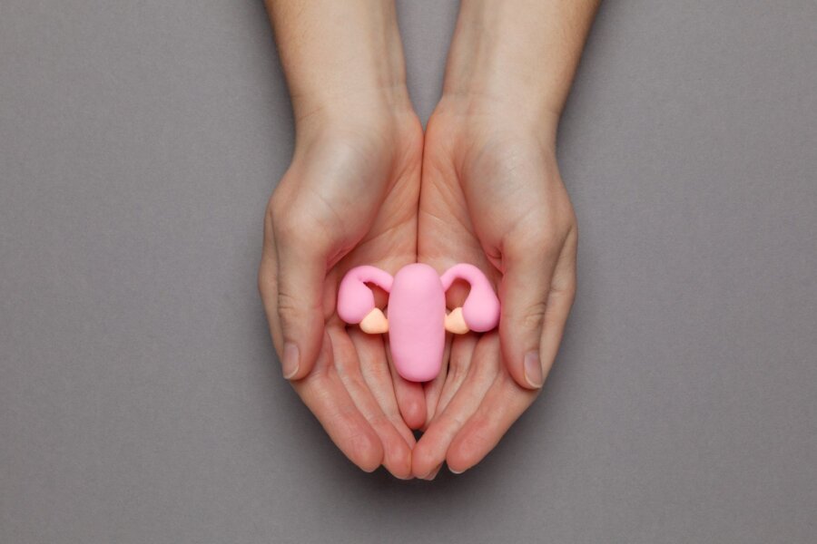 New insights into the pathophysiology of endometriosis and adenomyosis