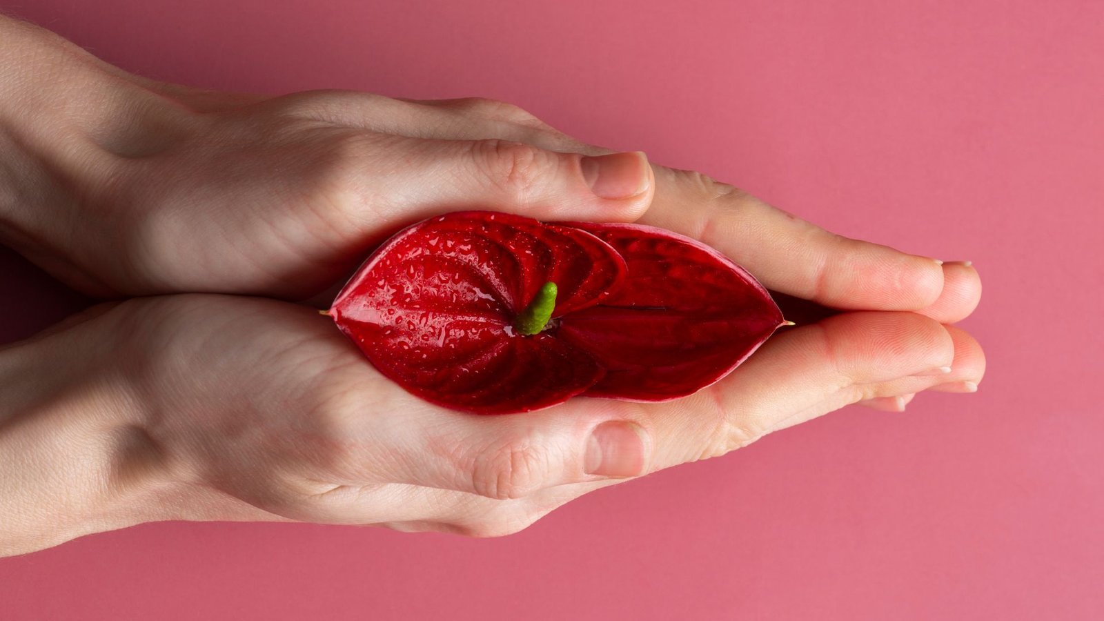 What is vulvodynia and how is it managed?
